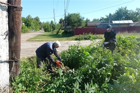 Безопасность дорожного движения