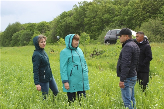 Приемка посевов в Ядринском районе