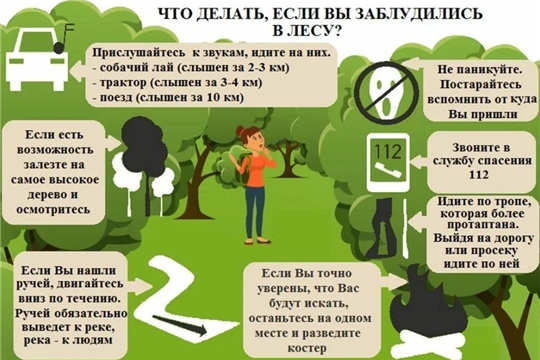 О том что делать, если заблудился в лесу