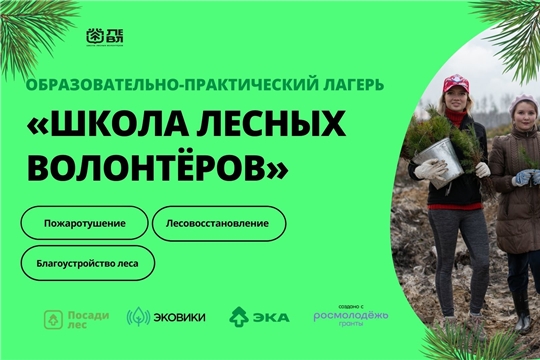 «Посади лес» приглашает россиян пройти Школу лесных волонтеров