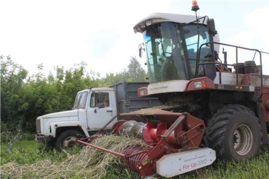 В СХПК "Комбайн" завершили заготовку сенажа из однолетних трав