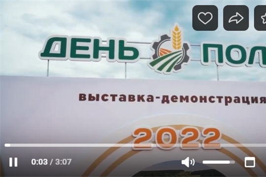 Видеоотчет с сельскохозяйственной выставки "ДЕНЬ ПОЛЯ - 2022"