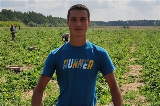 Семья Кузьминых из Янтиковского района выращивают клубнику