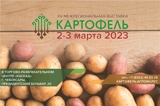 Сорта картофеля, созданные по Федеральной научно-технической программе развития сельского хозяйства, можно увидеть 2-3 марта в Чувашии