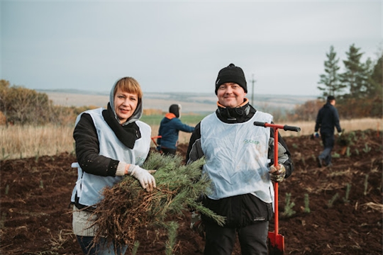 Больше 1 млн. рублей потратили россиянки, чтобы подарить мужчинам посадки леса в 2022 году