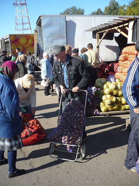 13:50 Сельскохозяйственные ярмарки "Дары осени": организована бесплатная адресная доставка картофеля для ветеранов и пенсионеров