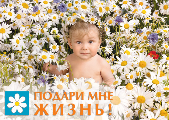 15:15 Стартовала акция «Подари мне жизнь!»