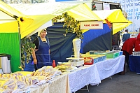 IMG_9308.jpg