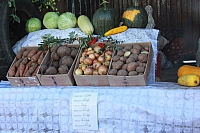 IMG_9363.jpg
