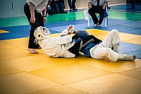 IMG_2086.jpg