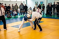 IMG_2094.jpg