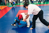 IMG_2099.jpg