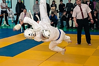 IMG_2548.jpg