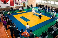 IMG_2551.jpg