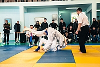 IMG_2576.jpg