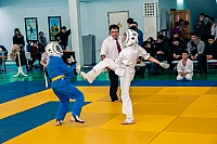 IMG_2663.jpg