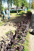 IMG_9469.jpg