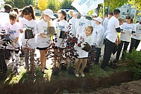IMG_9513.jpg