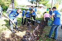 IMG_9554.jpg
