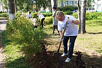 IMG_9557.jpg