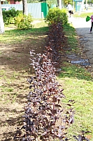 IMG_9570.jpg