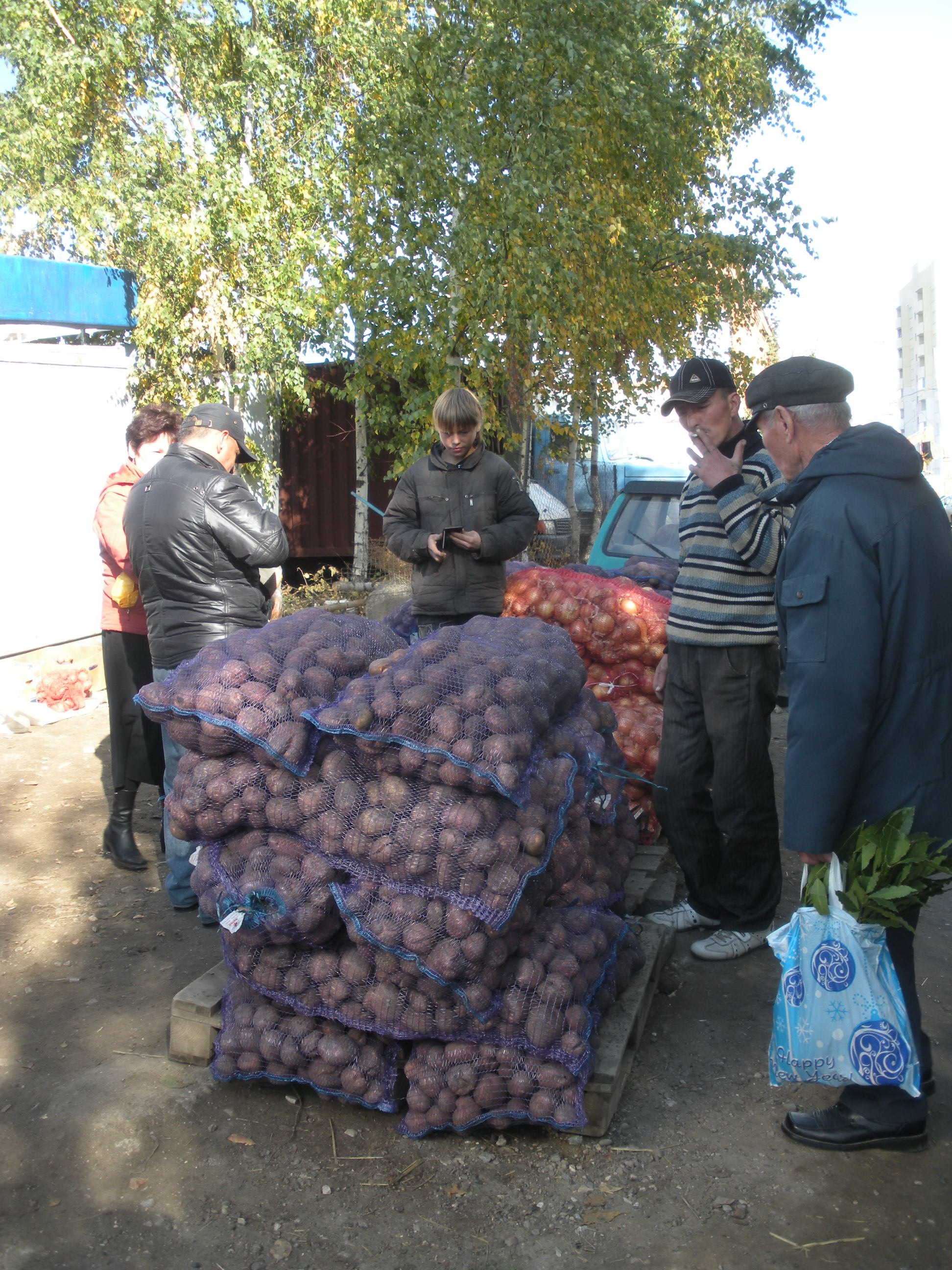 Жителям  города  предлагают  качественную, экологически чистую сельскохозяйственную  продукцию