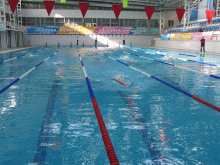 09:00 В Чувашию съезжаются участники чемпионата и первенства России по плаванию среди инвалидов по слуху