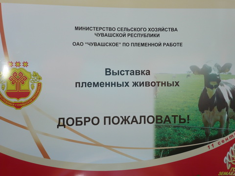 17.01 Состоялась выставка племенных животных.