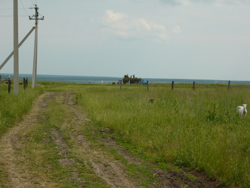 16.42 Сенокос в разгаре