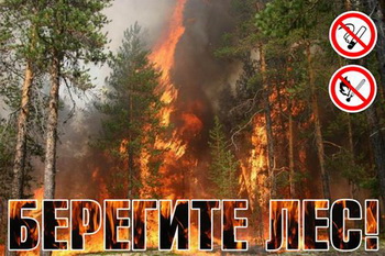 09:18 Минприроды Чувашии:  просим воздержаться от посещения лесов в пожароопасный период