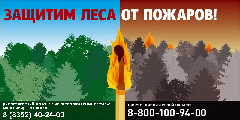 Пожарная ситуация в лесах Чувашии под контролем