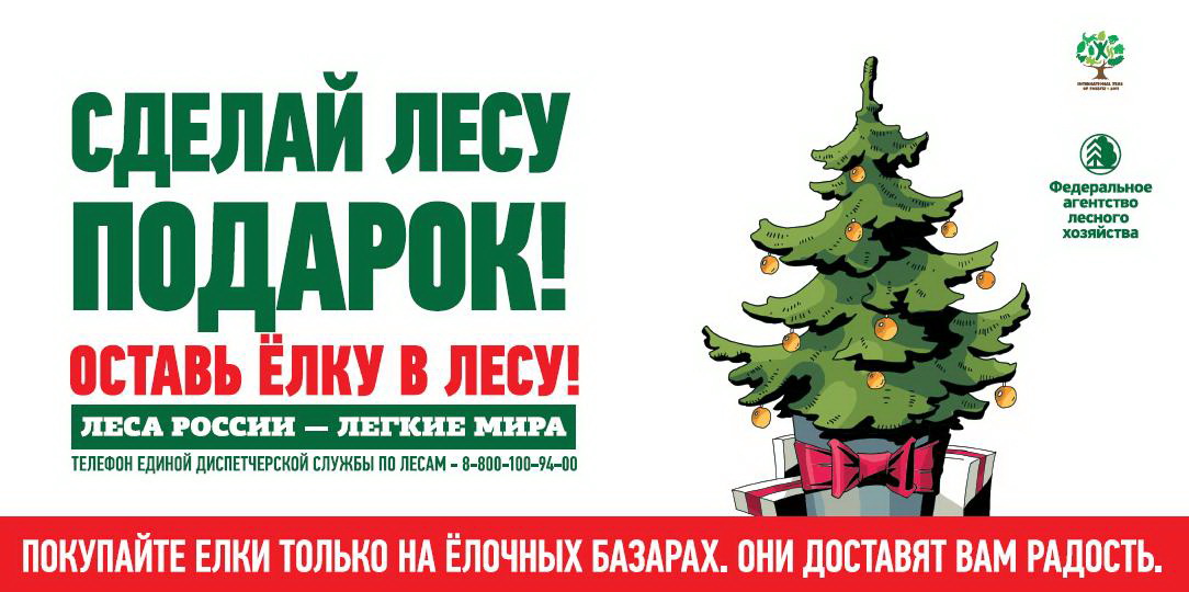 Выявлен один случай незаконной рубки новогодней ели