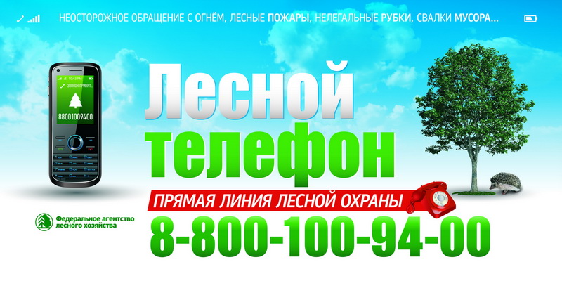 16:29 ФБУ «Авиалесоохрана» запустило новое электронное приложение «Береги лес» для iPhone и iPad