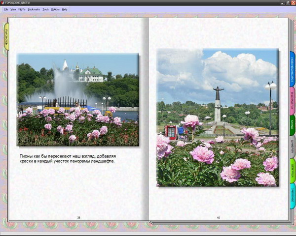 18:06 Городские цветы в мультимедийном альбоме
