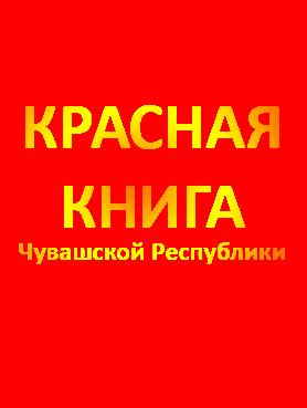 13:26 Красная книга Чувашской Республики