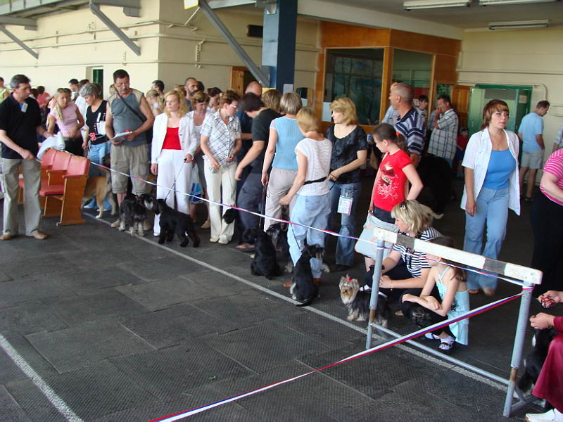 В рамках празднования Дня Республики прошла XI Всероссийская сертификатная выставка собак всех пород «Поволжье»