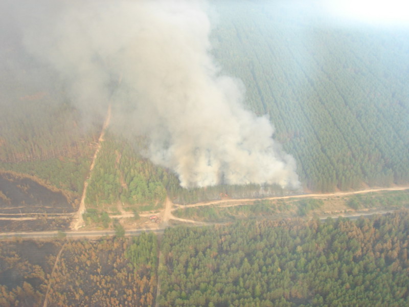 Информация о лесопожарной ситуации на территории республики по состоянию на 16 августа 2010 г.