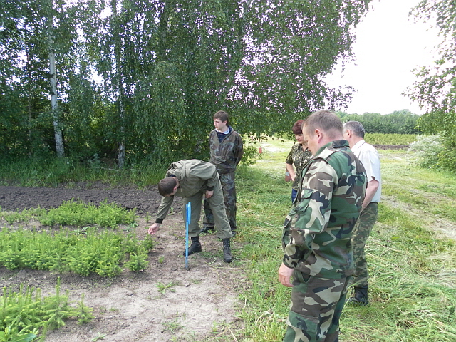 В Мариинско-Посадском лесничестве проведена проверка качества выполненных работ по закладке лесных культур и лесному семеноводству за 2010 - 2011 годы