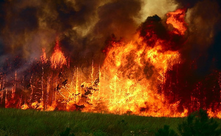 08:51 Жаркая погода и наплыв отдыхающих в леса стали причинами возникновения лесных пожаров в республике