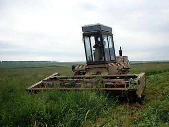 16:00 В Алатырском районе началась зеленая жатва