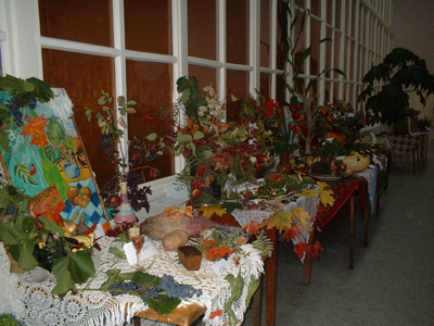 16:00_Пожилые люди стали организаторами выставки «Дары осени 2008»