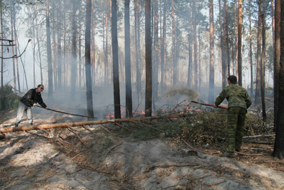 16:40 Локализовать возгорания в лесных массивах Алатырского района помогают добровольцы, работающие на предприятиях в Алатыре