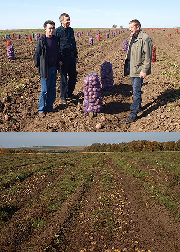 08:19 Заместитель министра сельского хозяйства республики Н.П. Якимов ознакомился с ходом работ по уборке картофеля в Аликовском районе