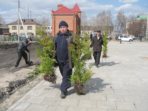 День дерева в Батыревском районе