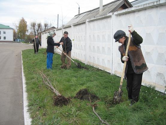 День дерева в Батыревском районе