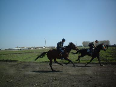 15:39 В Батыревском районе открылся летний спортивный сезон по конному спорту