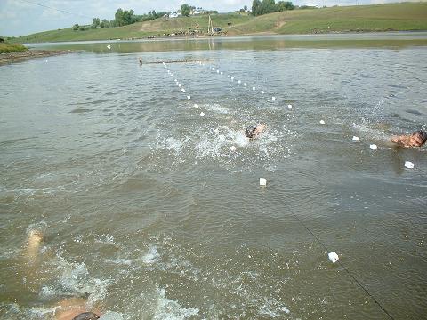 11:48 Соблюдайте элементарные правила поведения на водоемах