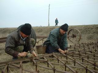 Хозяйства Вурнарского района приступили к весенне-полевым работам