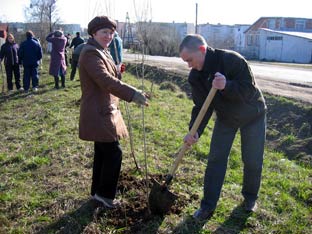 День дерева в городе Канаш