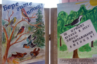 Конкурс рисунков «Наши пернатые друзья» проведен в Доме детского творчества города Канаш